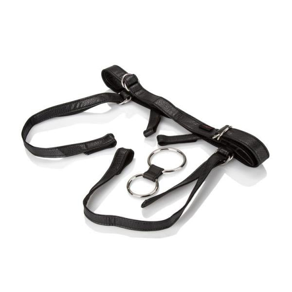 Her Royal Harness Duchess Black Boxed