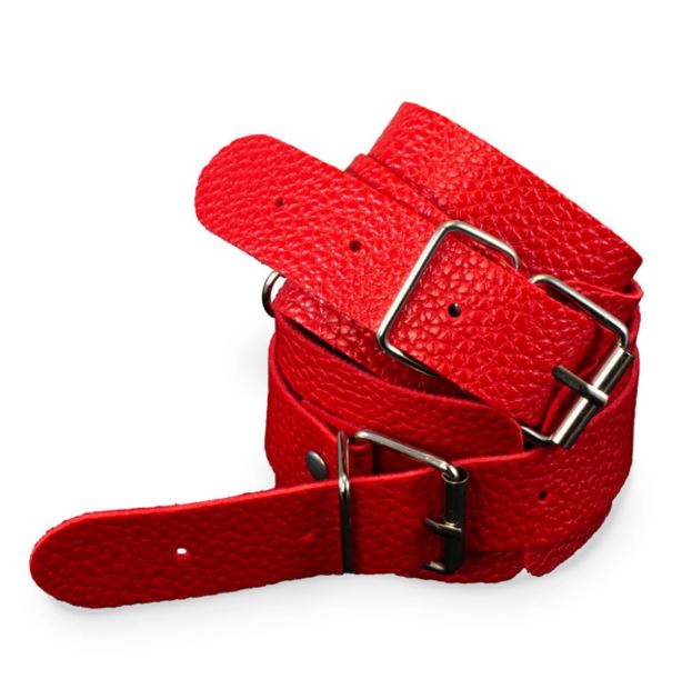 Kink Curious Hogtie Kit Red