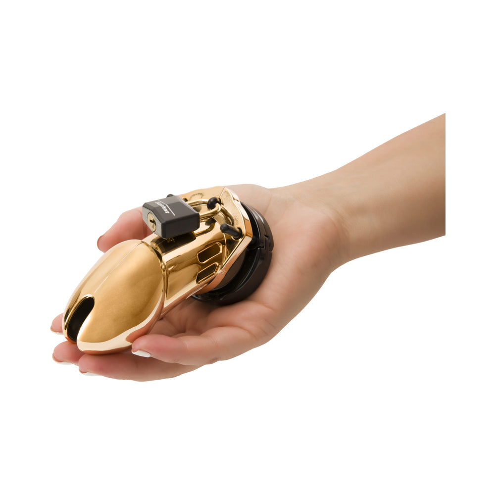CB-6000 Male Chastity Device