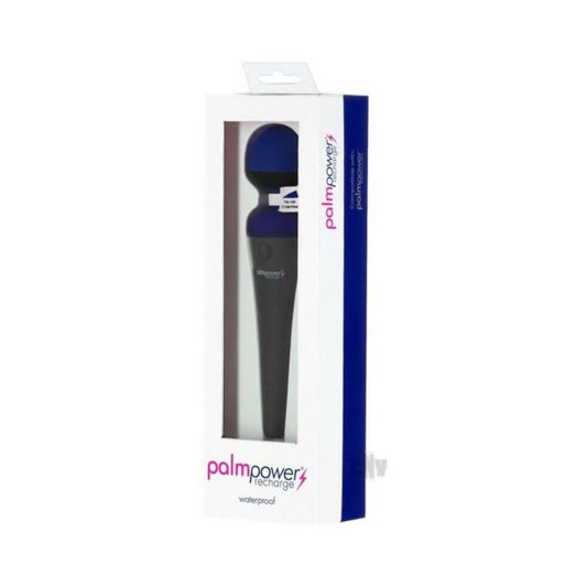 Palmpower Recharge Massager Blue