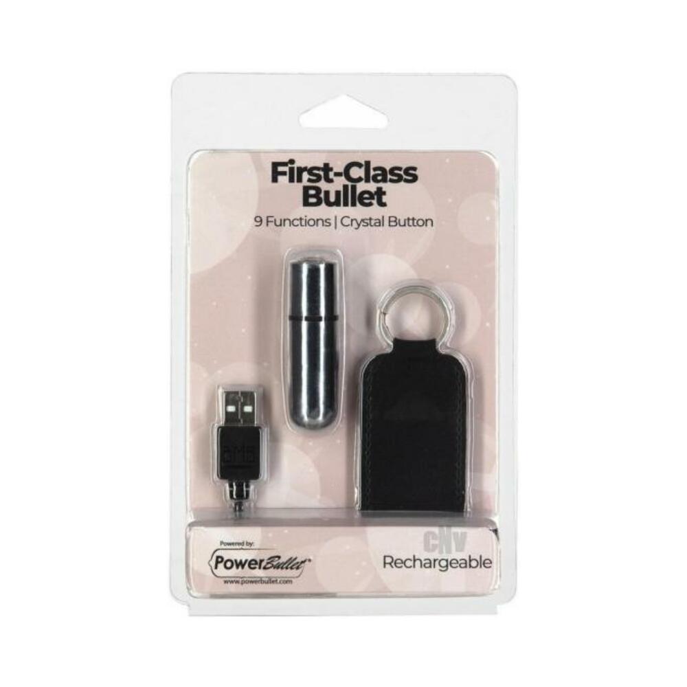 Powerbullet First Class Mini Bullet Silv