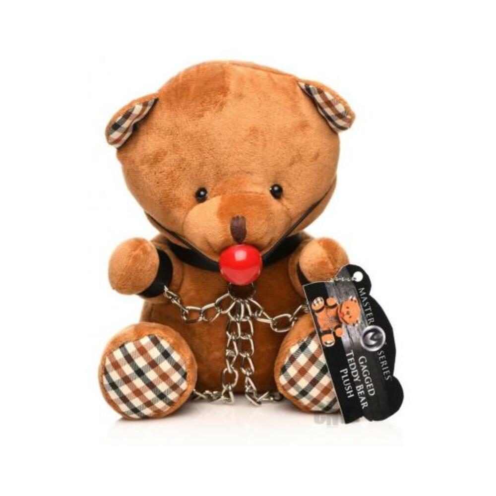 Gagged Bondage Teddy Bear