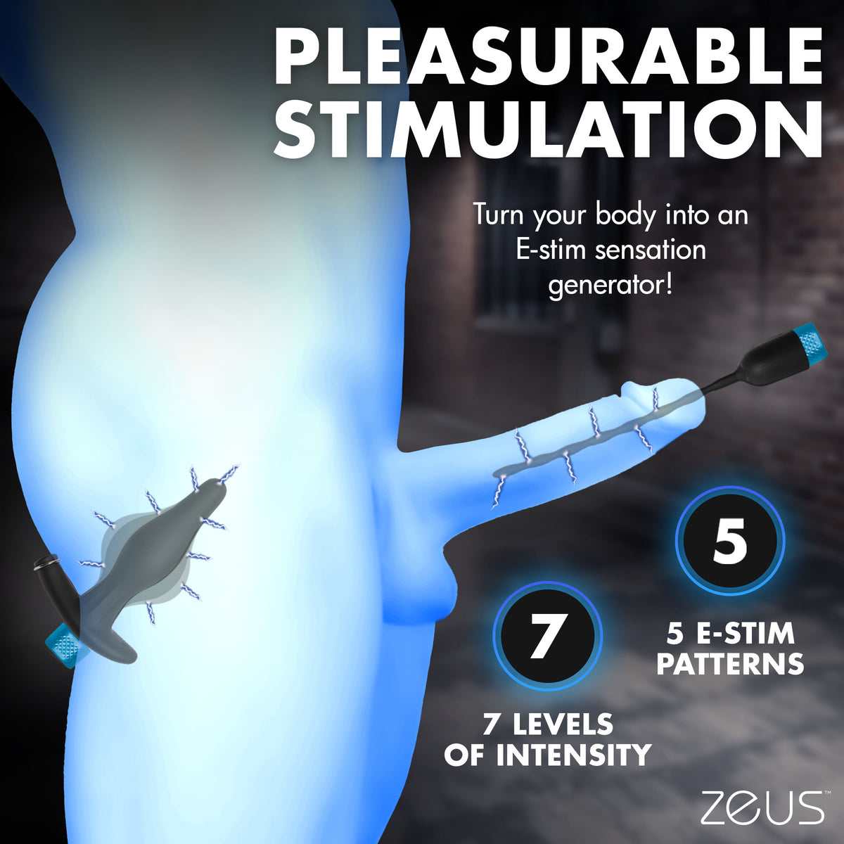 Inflatable Anal Plug and Urethral Sound E-Stim Kit