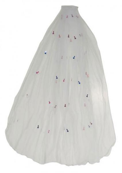 Naughty veil