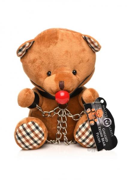 Gagged Bondage Teddy Bear