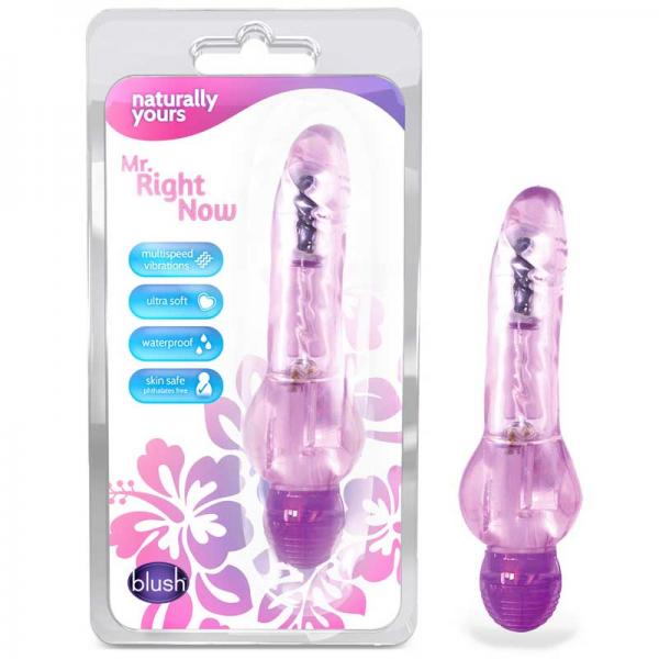 Mr Right Now Realistic Vibrator