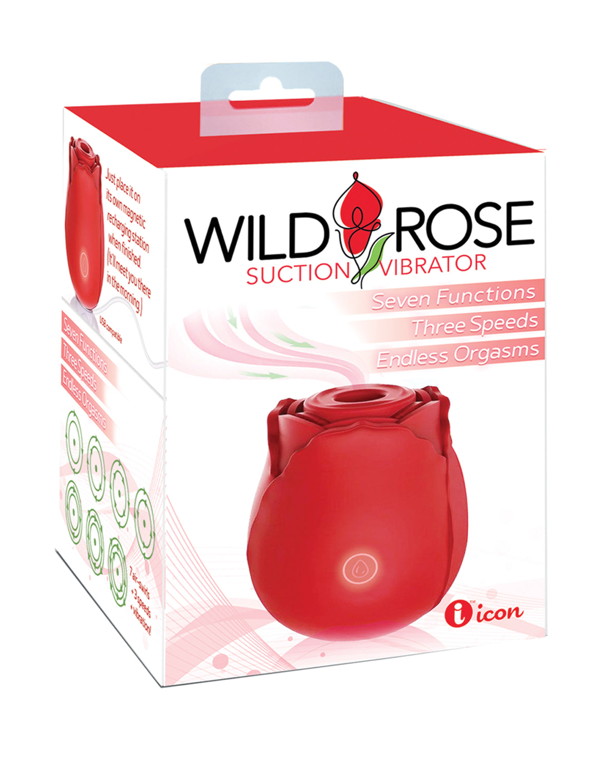 Classic Wild Rose