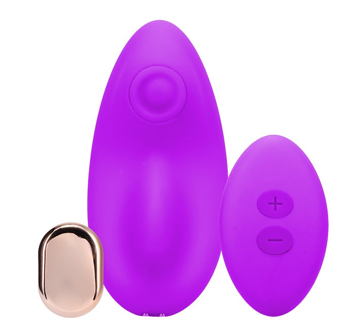 In A Bag Magnetic Panty Vibe Purple