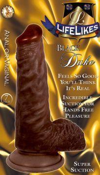 Lifelike Black Duke