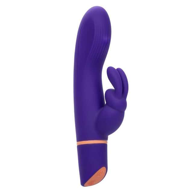 Love Bunny Rollin G Bunny Purple