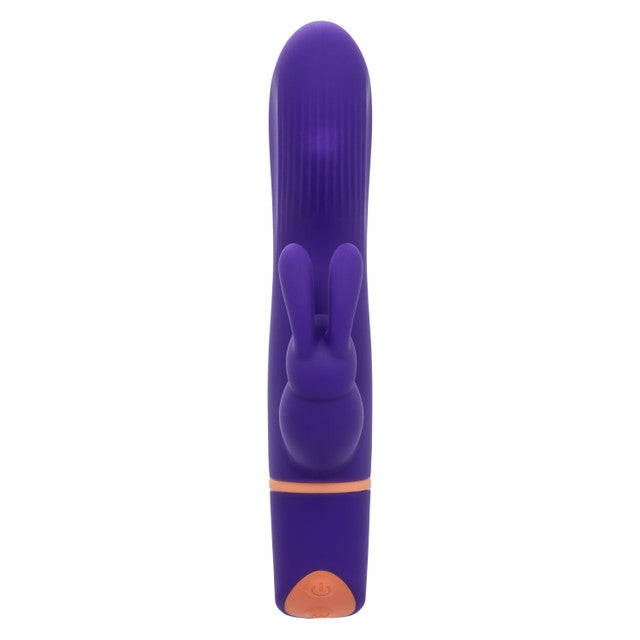 Love Bunny Rollin G Bunny Purple