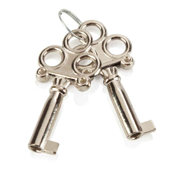 Chrome Hand cuffs