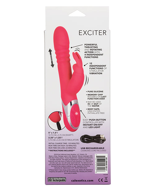 Enchanted Exciter Pink Rabbit Style Vibrator