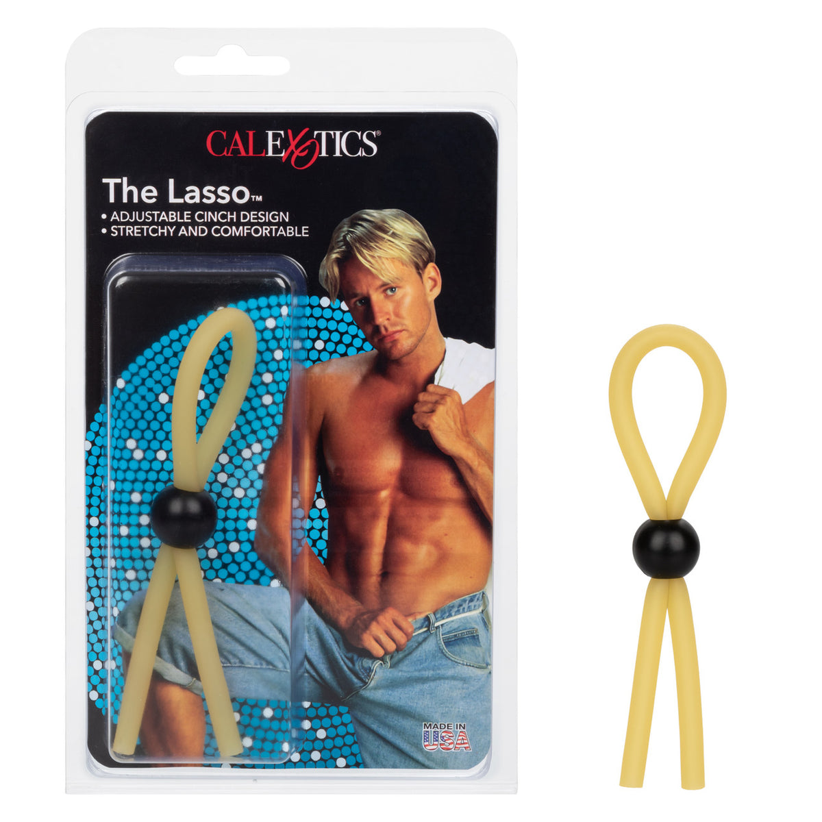 The lasso