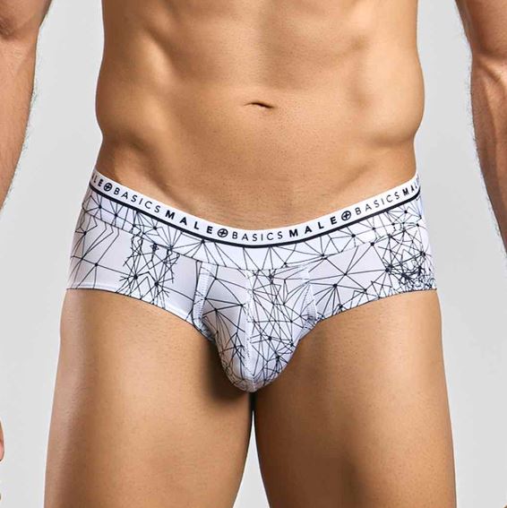 Male Basics Hipster Brief Spider Medium (hanging Only)