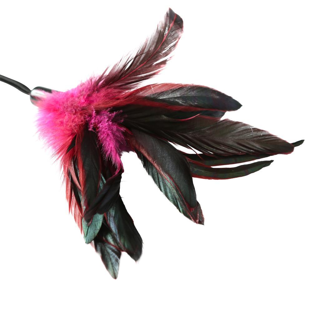 Pleasure Feather Rose