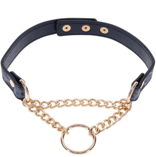 Sportsheets Sex & Mischief Cougar Day Collar