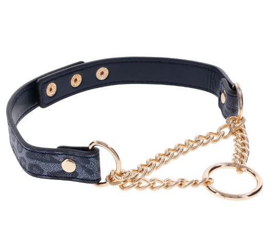 Sportsheets Sex & Mischief Cougar Day Collar