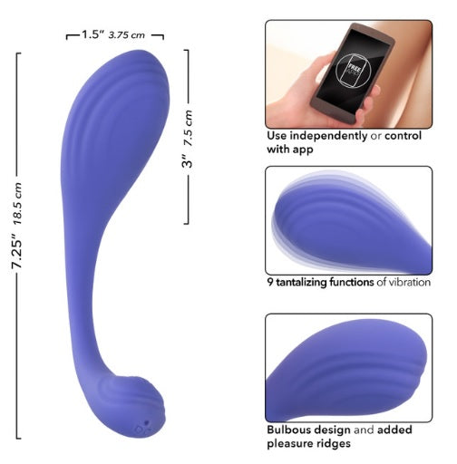 Connect App Based Kegel Exerciser